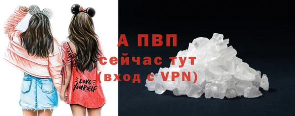 прущие грибы Абдулино