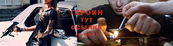 прущие грибы Абинск