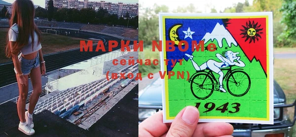 прущие грибы Абинск