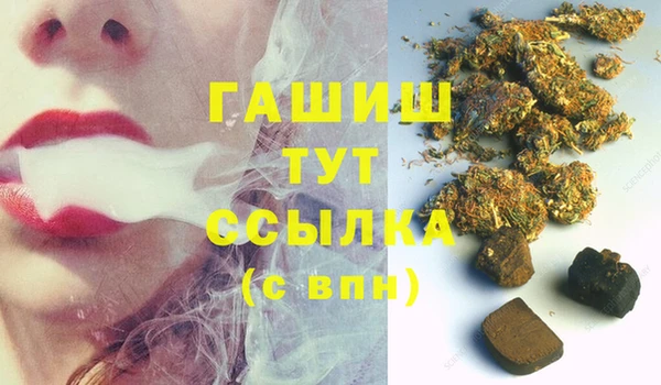 прущие грибы Абинск