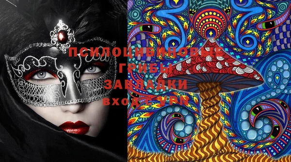 прущие грибы Абинск