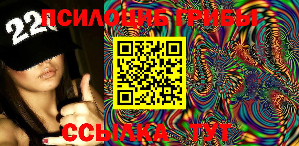 Галлюциногенные грибы Psilocybe Североморск