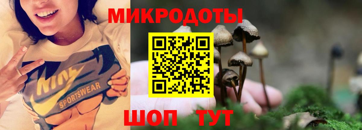 Североморск  купить закладку  Вход с VPN  Псилоцибиновые грибы Psilocybine cubensis  Псилоцибиновые грибы Cubensis 