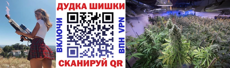 OMG маркетплейс  цена   Североморск  Бошки марихуана LSD WEED 