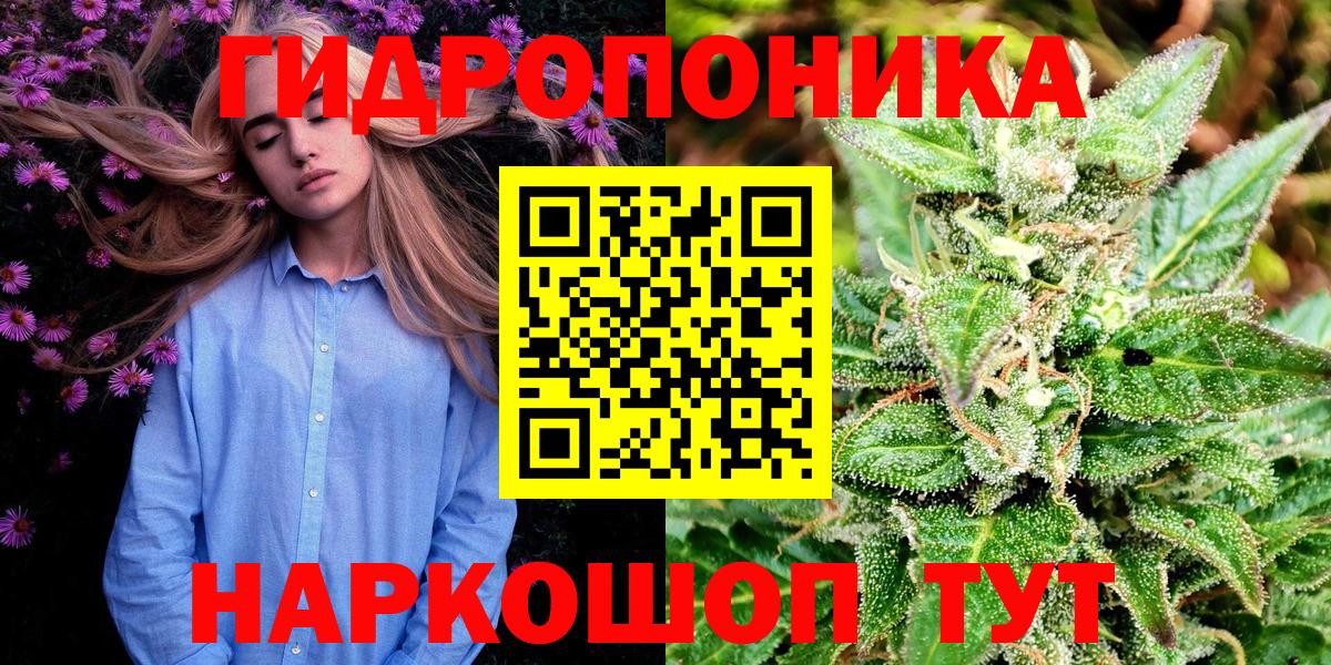 Шишки марихуана марихуана Североморск